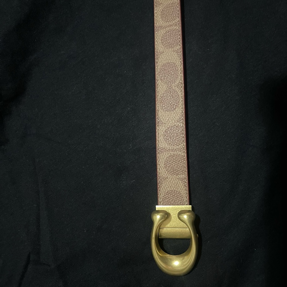 Coach Gold and Brown Belt with Elegant Design